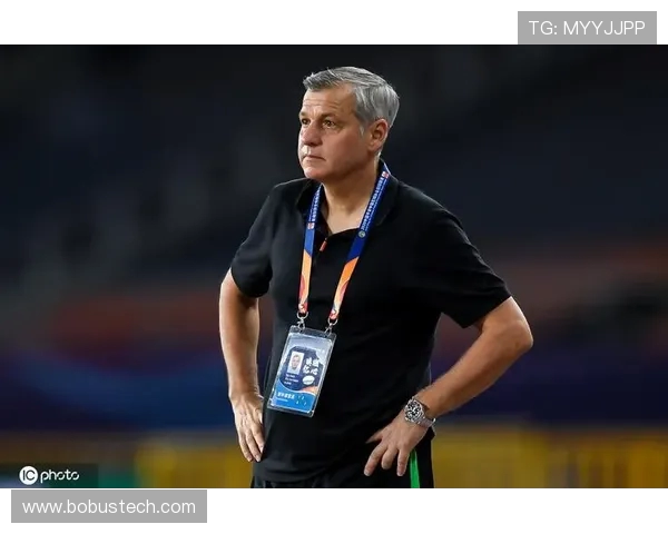 武汉网球队区域防守体系解析与战术应用研究