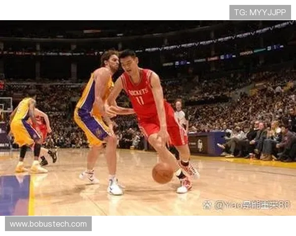 以篮球明星成长历程为核心全面探索竞技精神与团队协作力量魅力篇