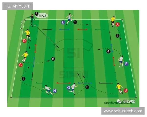 深度解析现代足球战术体系与全球联赛文化交织发展的新趋势探微路