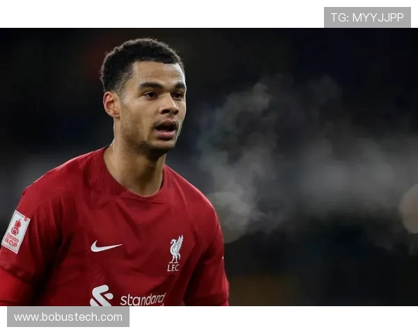 加克波:从新星崛起到球队核心的华丽转身与未来展望